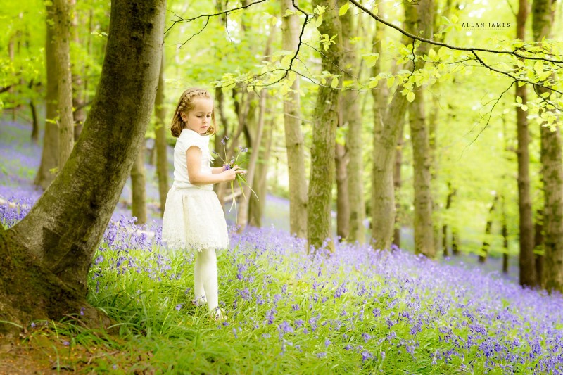 Bluebells-cardiff-swansea-bridgend-photographer