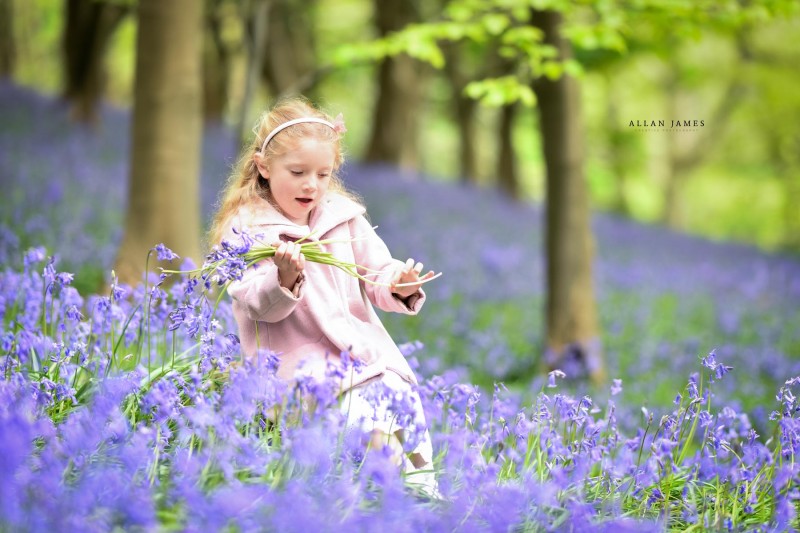 Bluebells photographer South Wales bridgend Port Talbot Swansea CArdiff