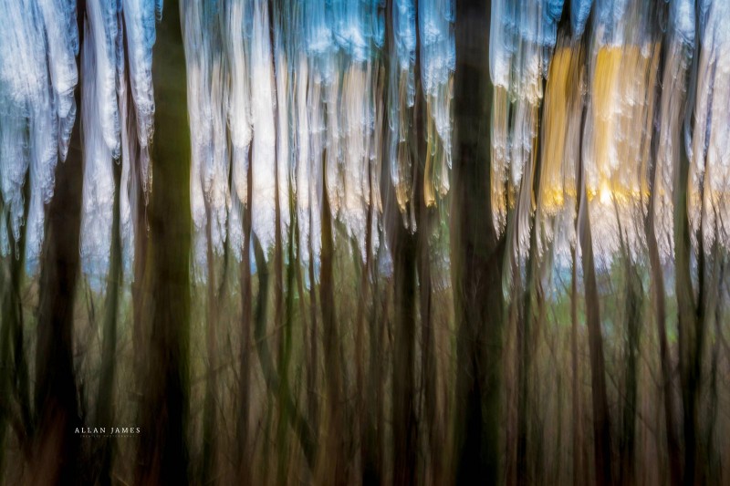Monet-Wood-Photographer-bridgend-cardiff